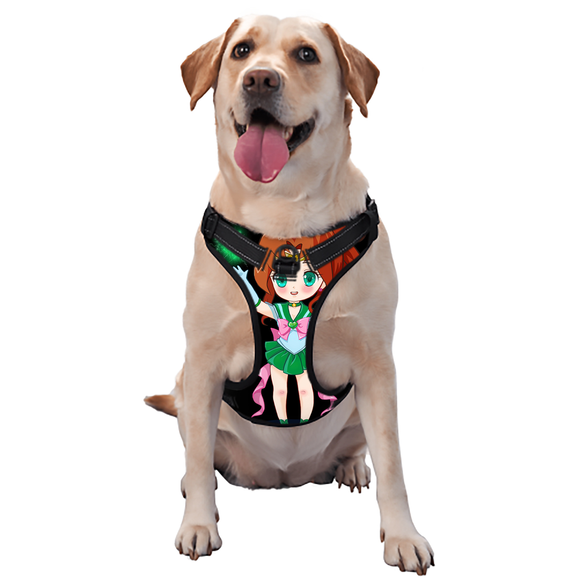 （画像用） 美少女戦士セーラームーン 木野 まこと きの まこと Sailor Moon Kino Makoto （セーラージュピター；Sailor Jupiter） ペット用ハーネス